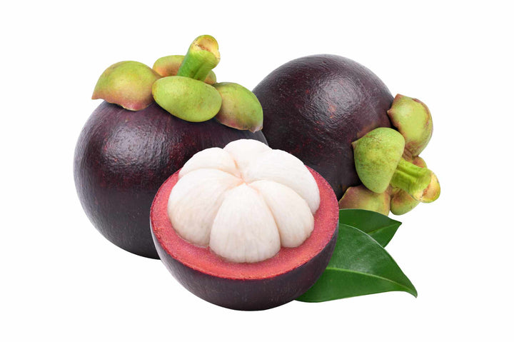 Health Benefits of Mangosteen