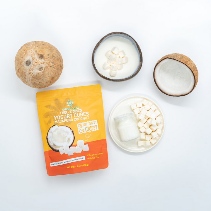 Innovative Recipes: How to Incorporate Freeze-Dried Macapuno Coconut Yogurt into Your Diet