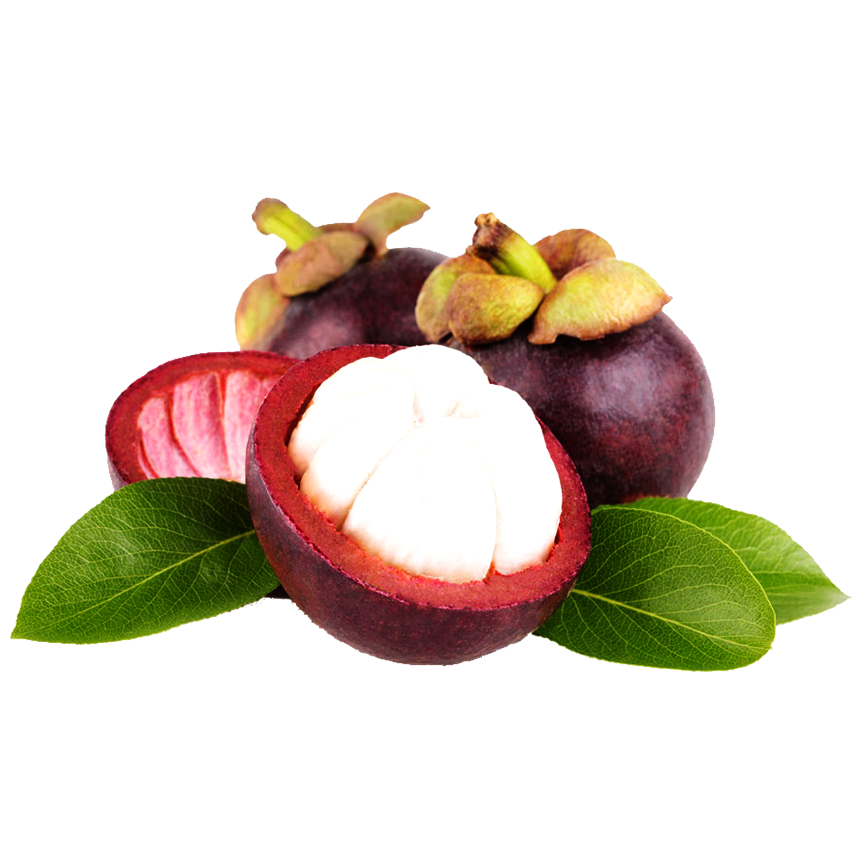 Freeze Dried Mangosteen