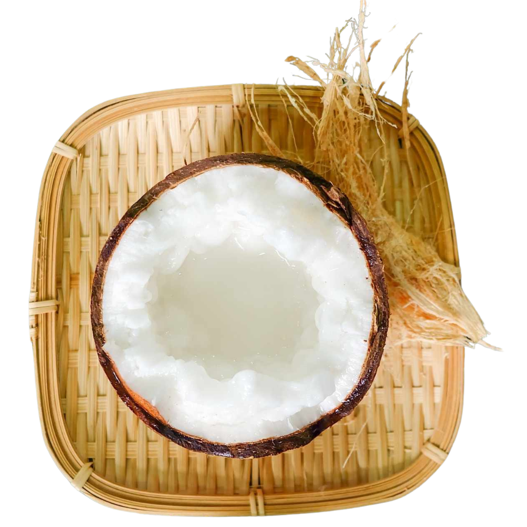 Freeze Dried Macapuno Coconut Chips