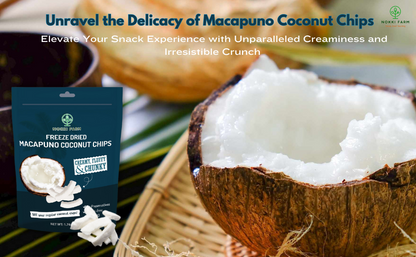 Freeze Dried Macapuno Coconut Chips - Pack of 3