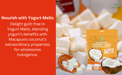 Freeze Dried Yogurt Cubes - Macapuno Coconut - Pack of 3