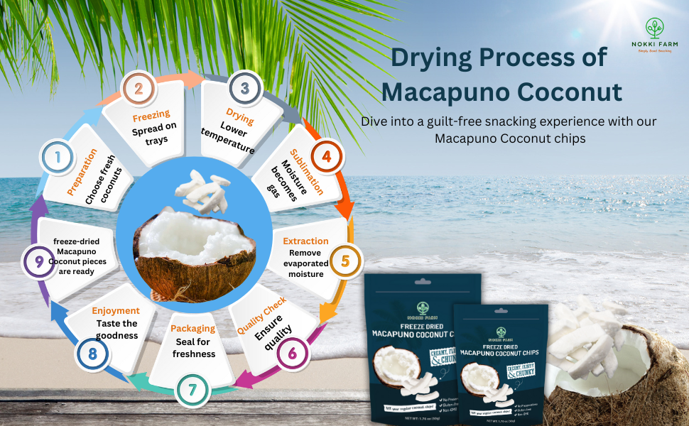 Freeze Dried Macapuno Coconut Chips - Pack of 12