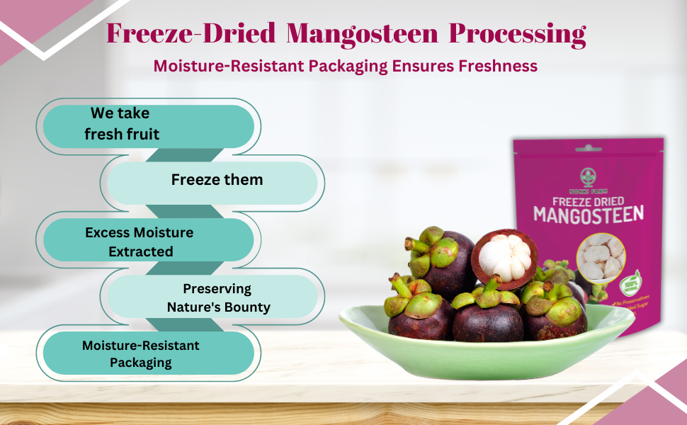 Freeze Dried Mangosteen
