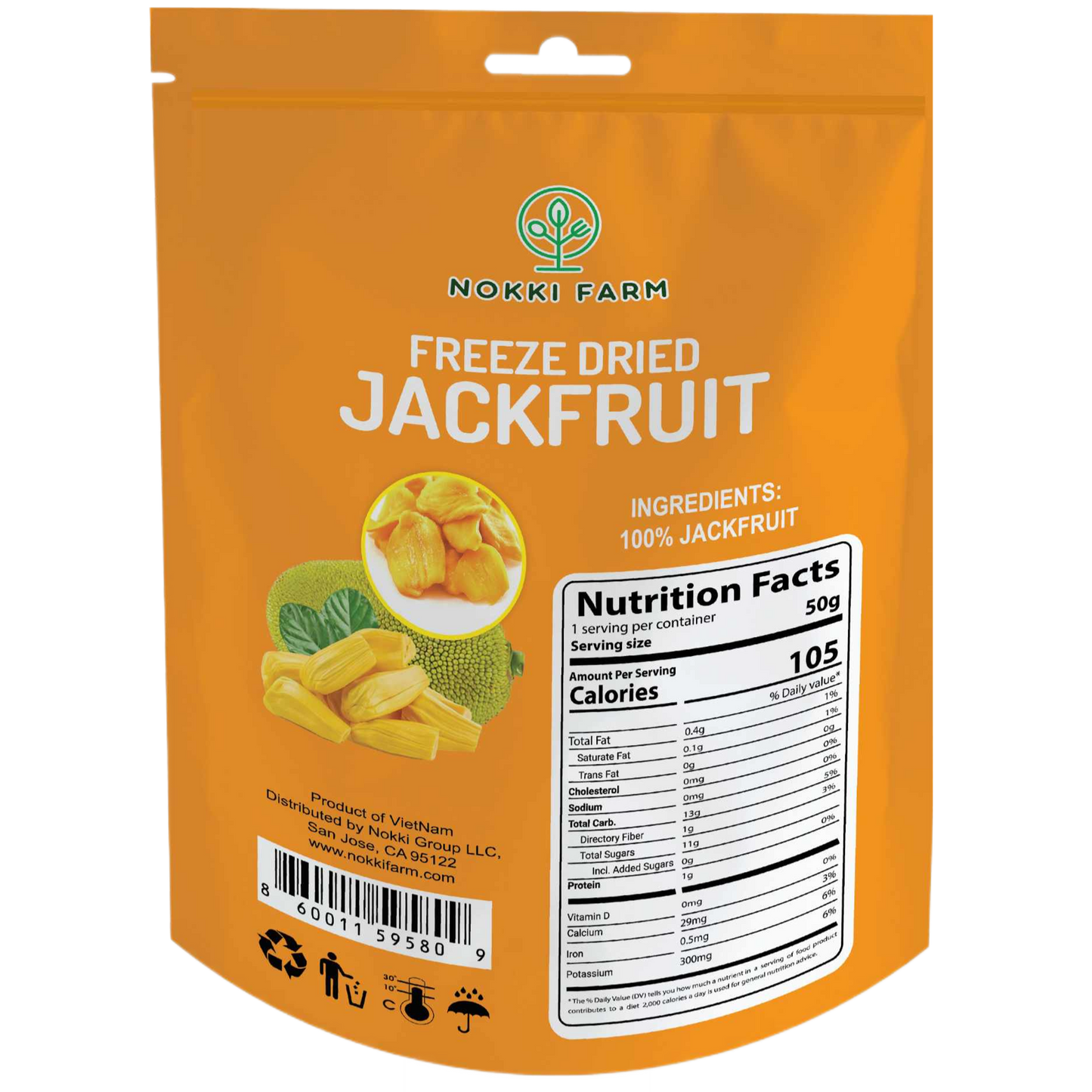 Freeze Dried Jackfruit - Pack of 12