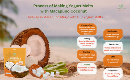 Freeze Dried Yogurt Cubes - Macapuno Coconut - Pack of 3