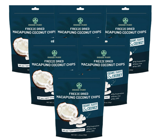 Freeze Dried Macapuno Coconut Chips - Pack of 6