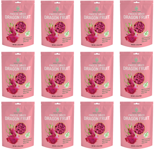 Freeze Dried Red Dragon Fruit - Pack of 12