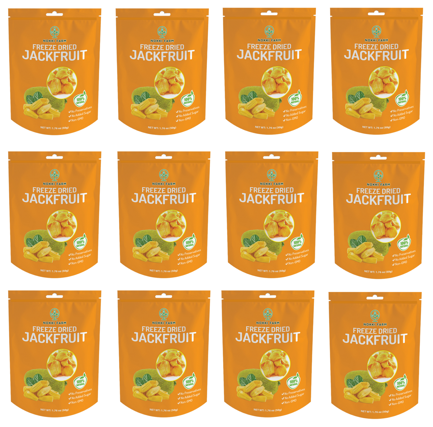 Freeze Dried Jackfruit - Pack of 12