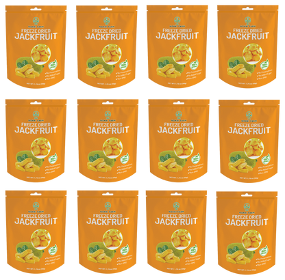 Freeze Dried Jackfruit - Pack of 12