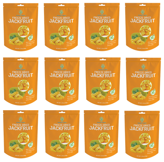 Freeze Dried Jackfruit - Pack of 12